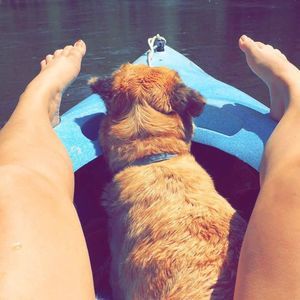 Meet your Posher, Elizabeth